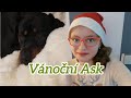 Vánoční Ask. Kolik je Trixie let? Jak mi napadlo založit si YouTube kanál? Atd.👍🏻❤😁