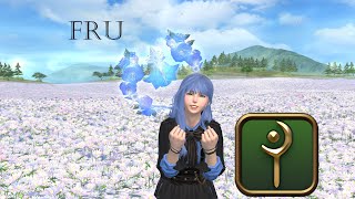 FRU clear WHM pov w/ skill casts displayed