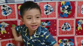 Đồng mặc áo Baby Shark thích nuôi thú #shorts Vinh Lam Tv