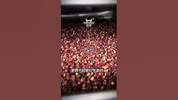 Hot air circulation oven and constant temperature drying oven, including large and small sizes, suit