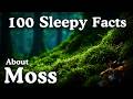 The Most Relaxing Facts About Moss to Fall Asleep To — No Adverts Mp3 Song