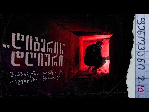 ფ. 2.10: დიგერის დღიური