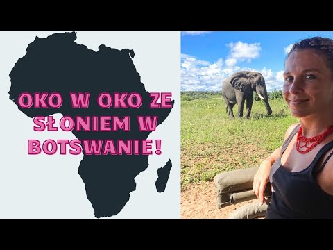 Oko w okiem