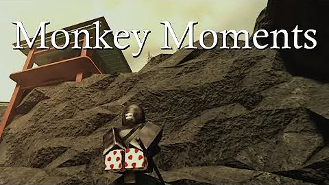 Monkey Moments