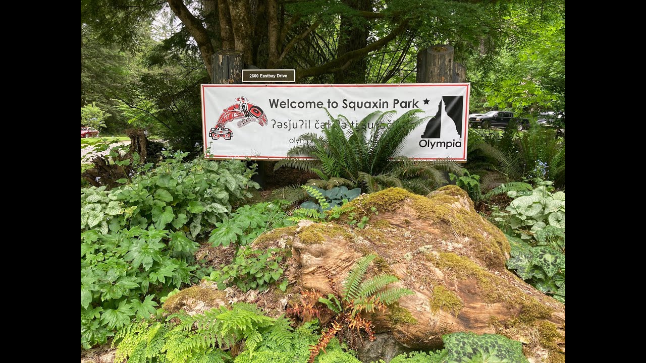 Squaxin Park East Loop Trail 4K YouTube