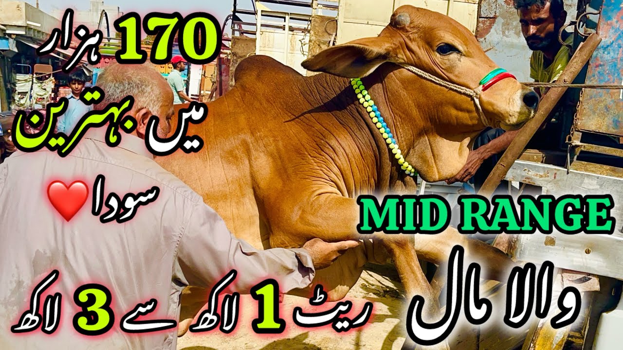 170K Me Behtreen Soda Mid Range Wala Maal Rate 100k Se 300k 170K Me Behtreen Soda Mid Range Wala Maal Rate 100k Se 300k