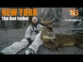 New York Deer Hunting 2018 - The God Father Buck
