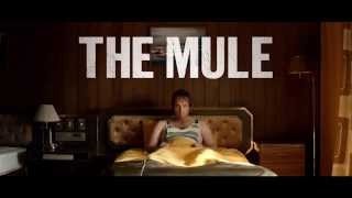 THE MULE - Angus Sampson & Hugo Weaving Interview