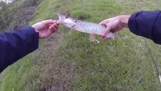 Peche Carna 1