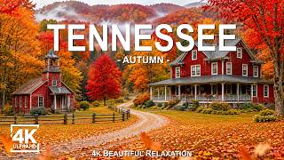 Tennessee Autumn 4K 🍂 Smoky Mountains, Golden Forests & Peaceful Country Roads