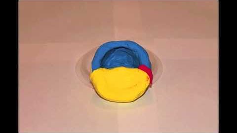 Dev Bio Extra Credit Claymation