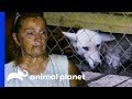 "This Was The Most Pressure I've Ever Had To Deal With" | Pit Bulls & Parolees
