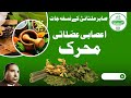 Herbal Formula Of Hakeem Sabir Multani اعصابی عضلاتی محرک Sabir Multani Herbal Formula Of Hakeem Sabir Multani اعصابی عضلاتی محرک Sabir Multani