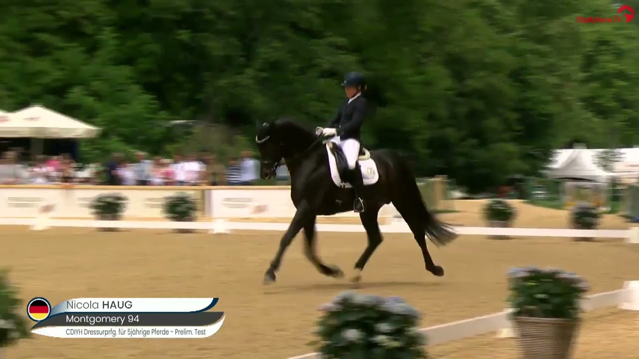 𝐃𝐞𝐫 𝐒𝐢𝐞𝐠𝐞𝐬𝐫𝐢𝐭𝐭 𝐯𝐨𝐧 𝐌𝐨𝐧𝐭𝐠𝐨𝐦𝐞𝐫𝐲 𝐮𝐧𝐝 𝐍𝐢𝐜𝐨𝐥𝐚 𝐢𝐧 𝐖𝐢𝐞𝐬𝐛𝐚𝐝𝐞𝐧 !