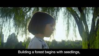 Hanwha Solar Forest (2018)
