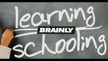 Brainly Homework Helping App