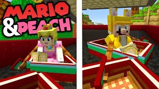 MARIO ET PEACH EN VACANCES EPISODE 55 | DUEL D'AUTO-TAMPONNEUSE !