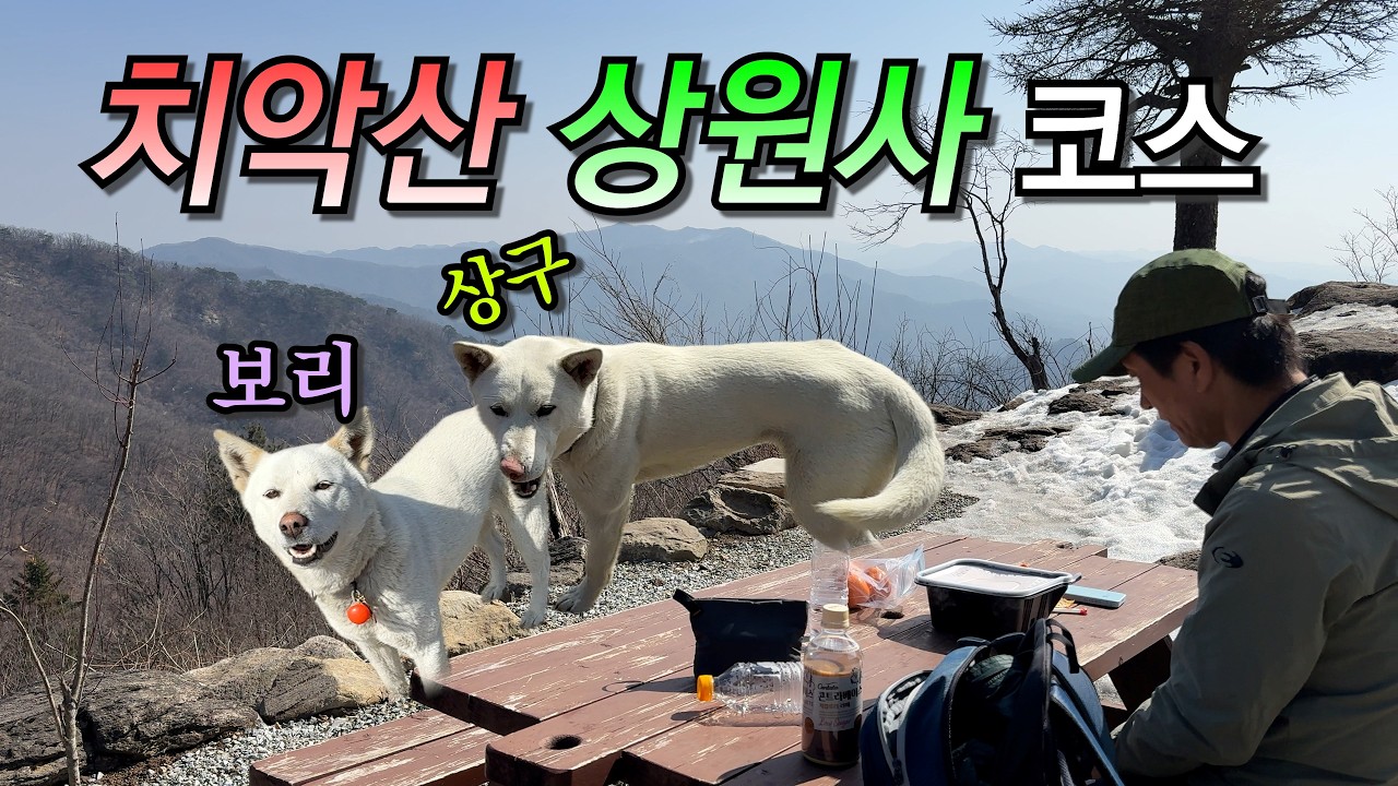 치악산 상원사코스/상원사에 사는 상구랑 보리/남대봉