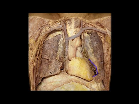 Vidéo: Percée En Médecine: Traitement Des Organes Internes Avec Une Seule Touche - Vue Alternative