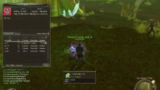 Aion - Chinese Obt - Going To Ardus Shrine