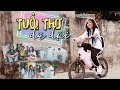 Tui th d di  hu hong  comedy music