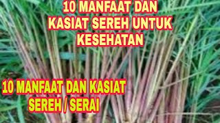 10 BENEFITS AND PROPERTIES OF LEMONGRASS / RED LEMONGRASS FOR BODY HEALTH
