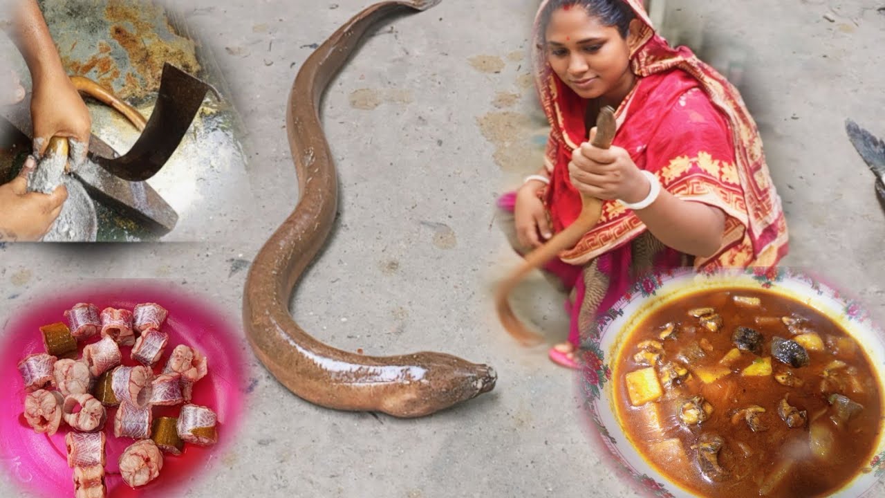 Ell Fish Catching, cutting and cooking video - YouTube