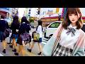 Tokyo, Hachioji 🐶 Let's go together 💖 Nonstop 1 hour 4K