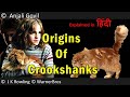 Life of Crookshanks | Explained in hindi