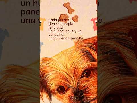 Día del Perro #perros #испанскийязык #изучениеиспанского