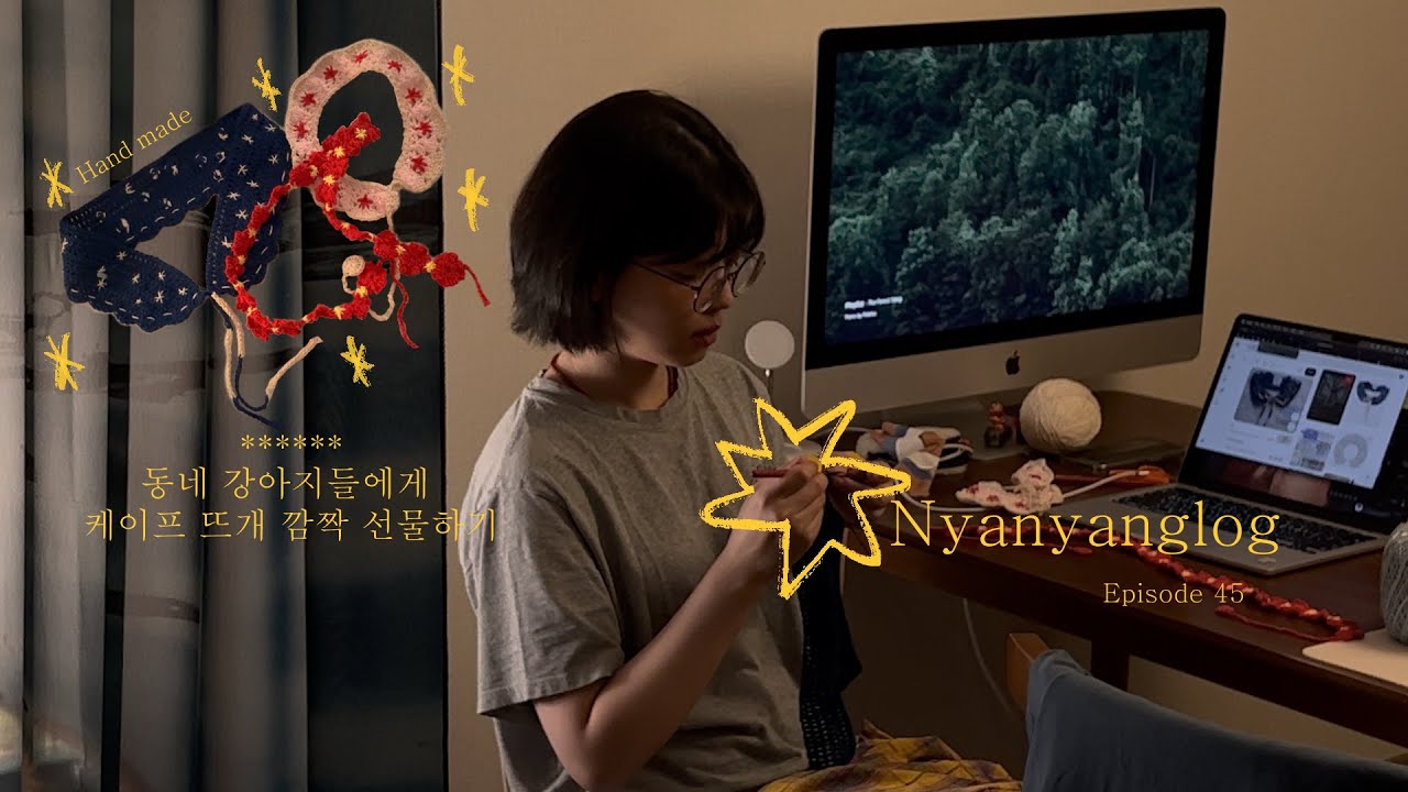 동네강아지들에게 케이프 뜨개 깜짝 선물하기! 🪡🧶(코바늘 케이프)