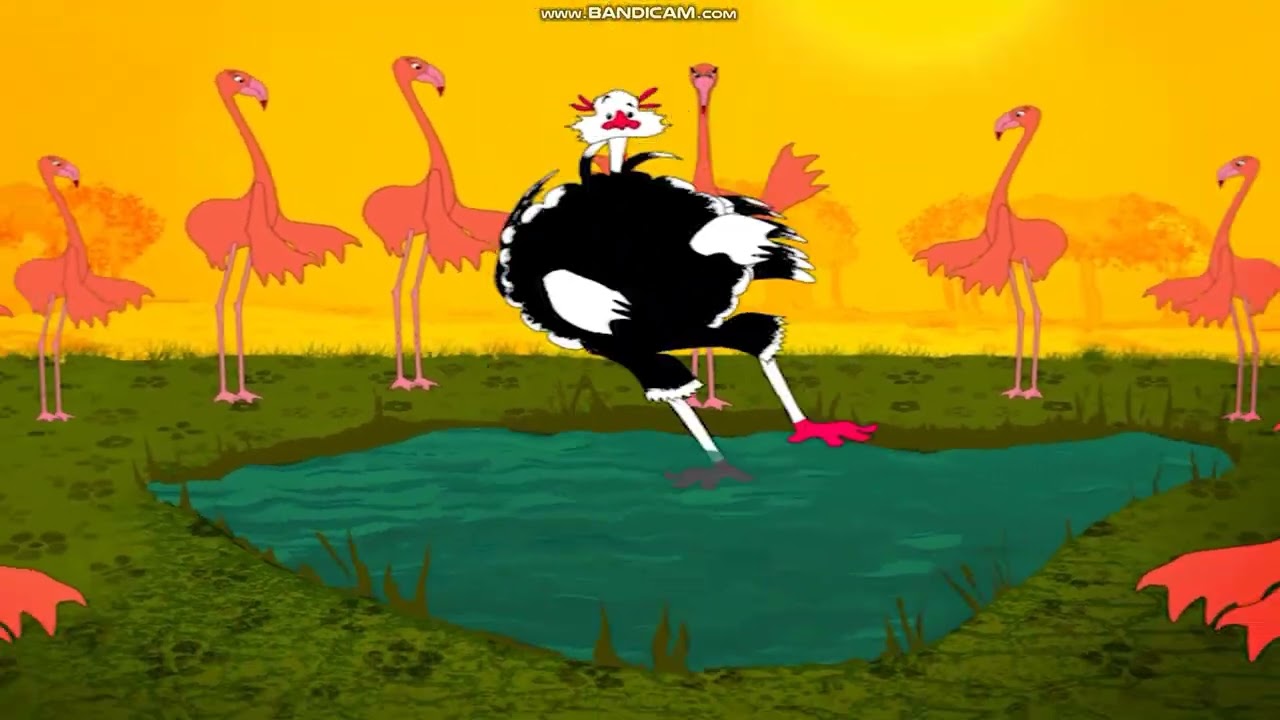 UN DROLE D'ANIMAL - l'autruche n'est pas cruche