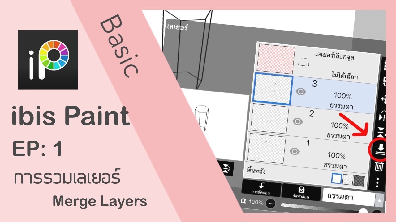 Basic Ibis Paint X : Ep 1  สอนรวมไฟล์ Merge Layers by Cynthia drawing