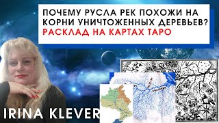 Почему русла рек похожи на корни деревьев? Расклад на картах Таро