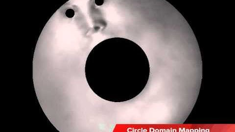 Topology and Geometry 08 - Circle Domain Mapping
