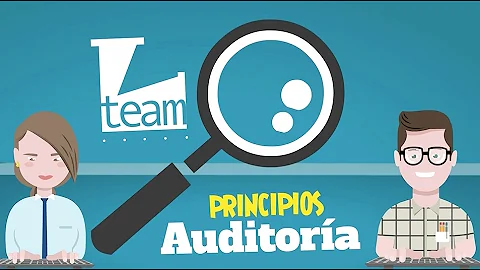 Quais as contribuições da auditoria trabalhista no contexto das instituições brasileiras?