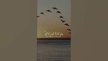 آيات بينات من الذكر الحكيم بصوت عذب ❤ #اكسبلور #تيك_توك #المغرب #دويتو #duet