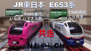 共走 JR東日本 E653-1000 ハマナス色 いなほ & E653-1100 しらゆき JR EAST E653 “INAHO” & “SHIRAYUKI” ＃train