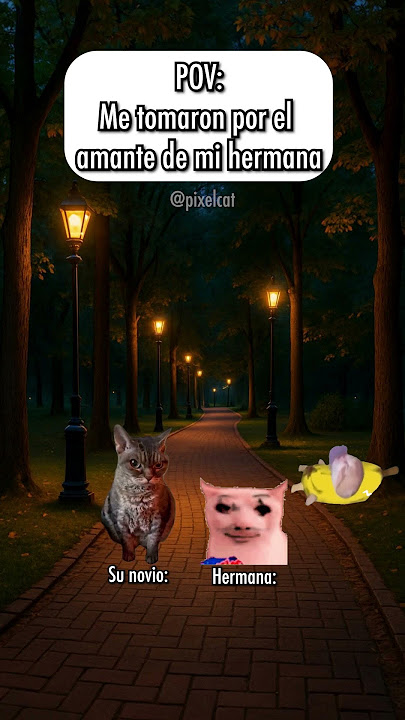 Me tomaron por el amante de mi hermana 🐱 #catmemes #gatitos #funnyvideo