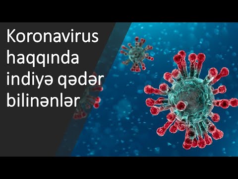 Koronavirus - Kovid-19 haqqında indiyə qədər bilinənlər