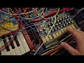♫ Jamming With a Bunch of Synths ♫ ----- (202)