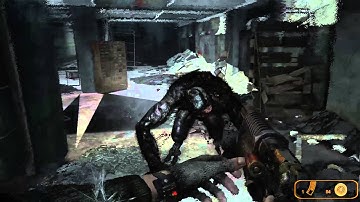 Metro2033: Meet The Librarian