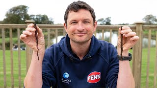 Gwinear Guides: How to Use Lugworm and Ragworm | Sea Fishing | Bait Tips, Target Species & Bait Care