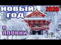 Новый Год 2020 в Японии. Как отмечают?  — Прямая трансляция из Японии от пан Гайджин