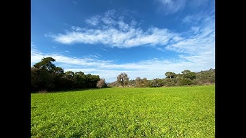 Wordpress Site Taşıma Hızlı Kolay Güvenilir Yöntem