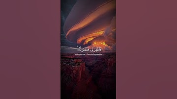 قال رب إني ظلمت نفسي فاغفر لي فغفر له..|| سورة القصص || الشيخ محمد صديق المنشاوي