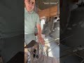 Антон Богачев, колокольный звон в храме в честь Собора Пресвятой Богородицы, г.Алматы 2025