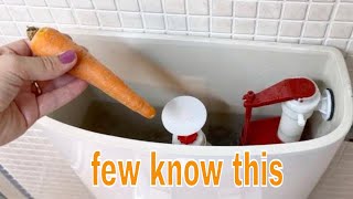 Place a Carrot in Your Toilet, You'll Be Surprised