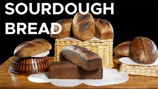 Sourdough bread is a microbial mystery | Sci NC