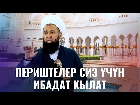 Video: Периштелер канча жолу учат?